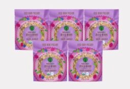 Naturalvert Organic, Gluten free, Vegan granola- Mixed Berry Vegan 2oz (Pack of 5)